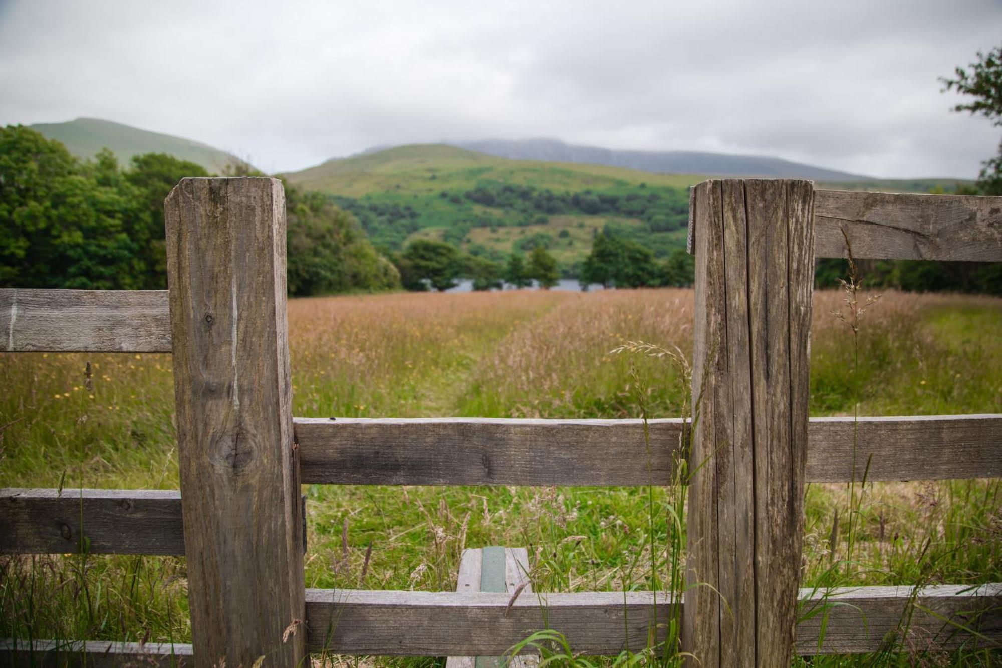 Trigonos - Quiet, Peaceful, Vegetarian B&B And Retreat Centre Nantlle Ngoại thất bức ảnh