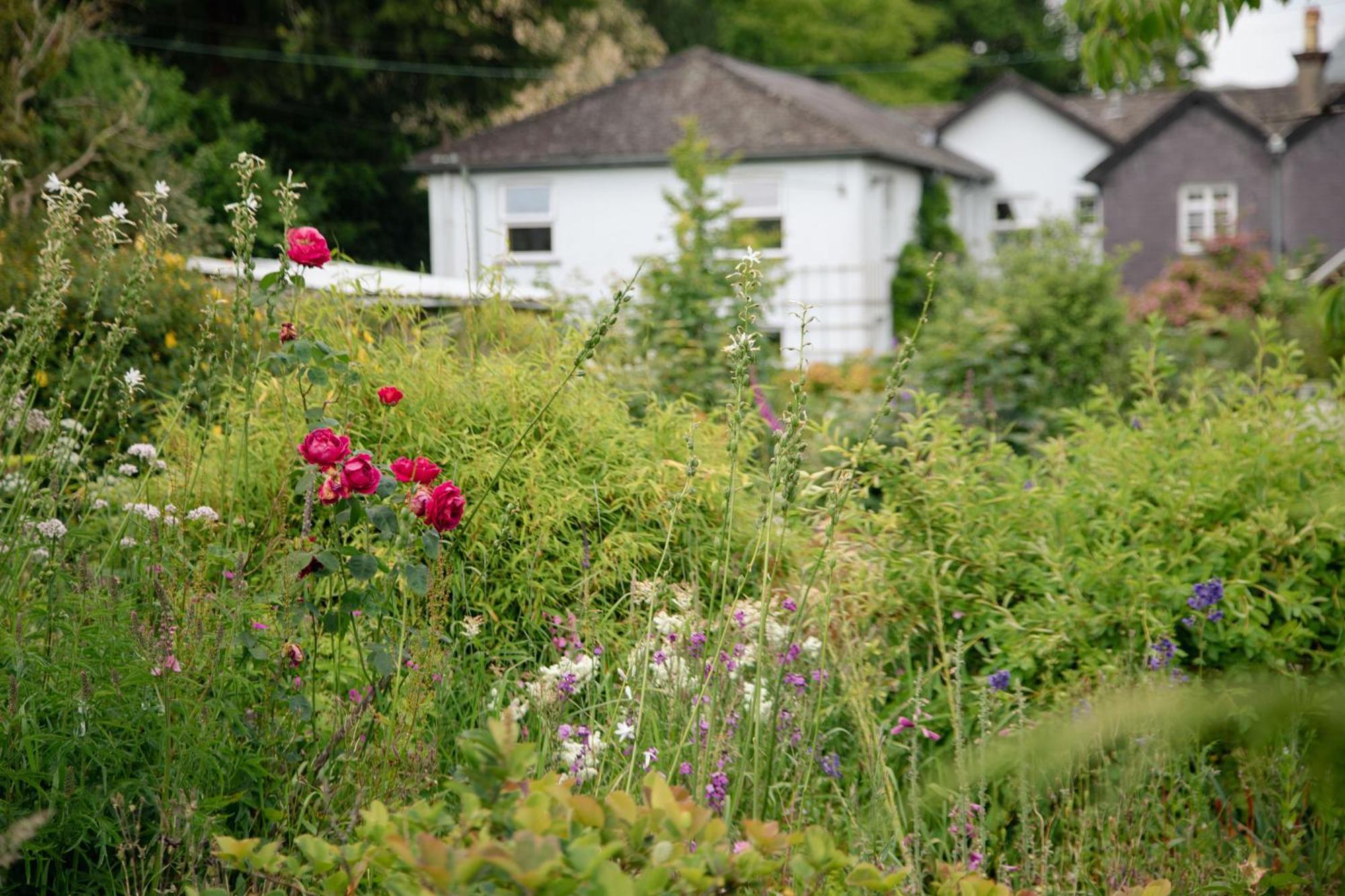 Trigonos - Quiet, Peaceful, Vegetarian B&B And Retreat Centre Nantlle Ngoại thất bức ảnh