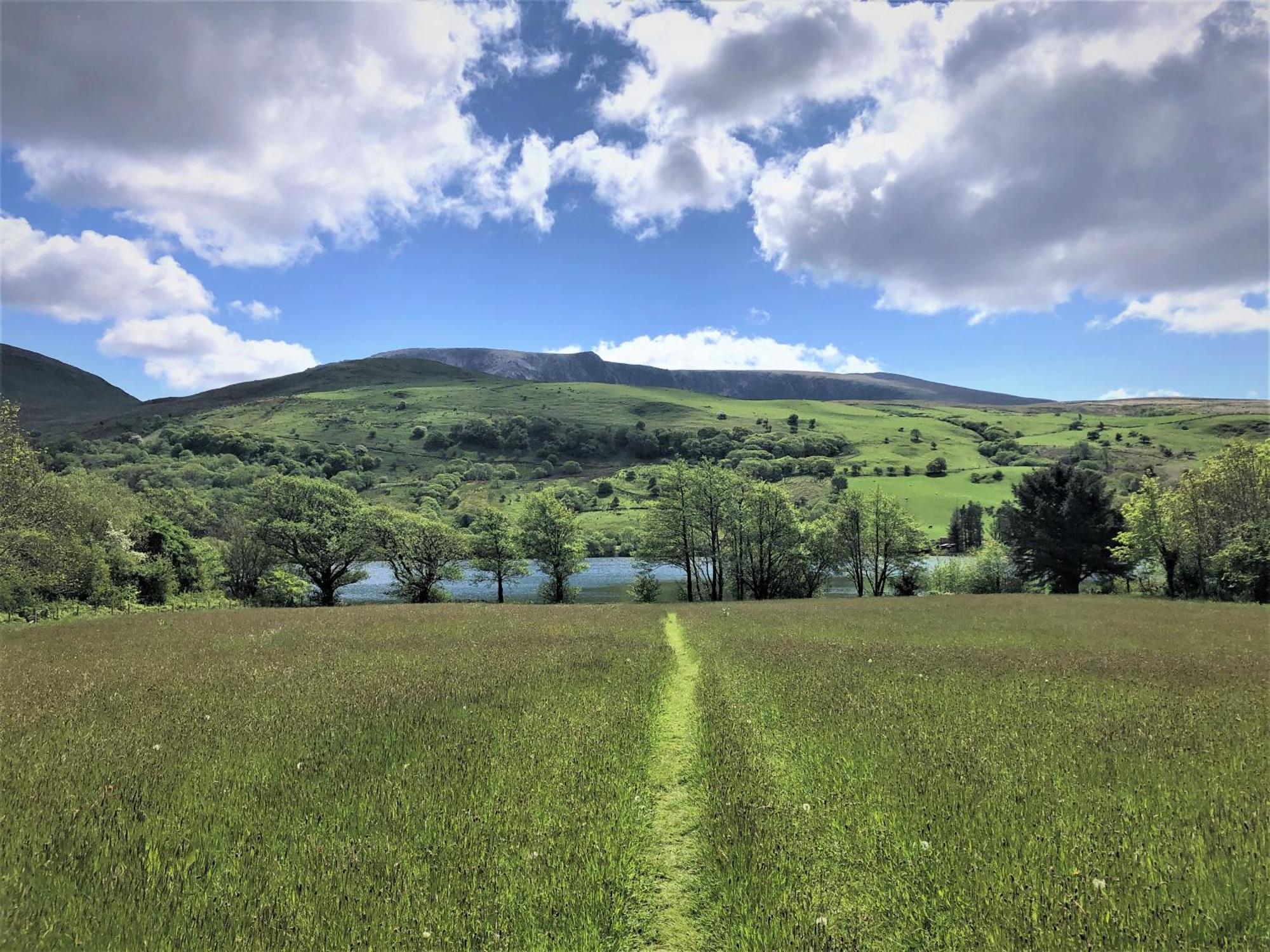 Trigonos - Quiet, Peaceful, Vegetarian B&B And Retreat Centre Nantlle Ngoại thất bức ảnh